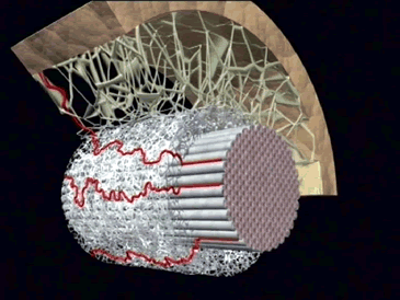 Tensegrite fascia